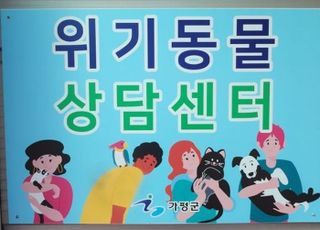 경기도, 사육포기 반려동물 대응·상담…‘위기동물 상담센터 설치’추진