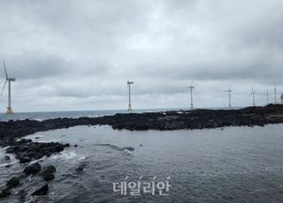 [르포] '소음없이' 전력 생산 '탐라해상풍력'…수중 생태계 활성화·관광객 증대 기여