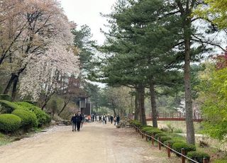 '봄 꽃 내음' 가득…서울대 관악수목원 23일간 개방