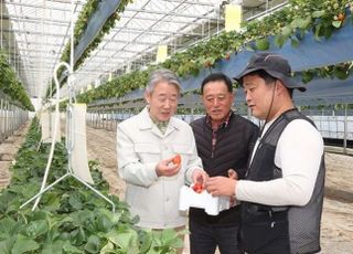 강호동 농협 회장, 딸기 스마트팜 찾아 청년농업인과 소통
