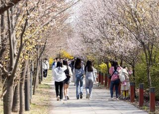 [오늘날씨] 맑고 따뜻한 봄날씨…벚꽃놀이 가려면 미세먼지 주의해야