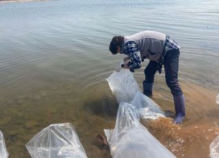 [경기도 소식] 빙어 자원 회복…부화 물고기 100만 마리 방류