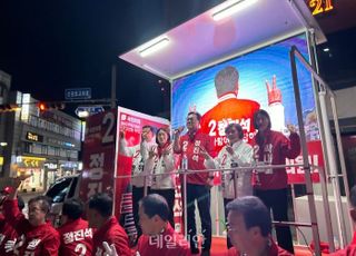 [최종 유세] 정진석 "외롭게 싸워온 충청 다선…중심시대 열 선봉장 뽑아달라"