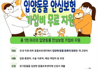 경기도, 유기동물 입양자에 반려동물 보험가입 무료 지원