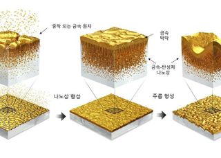 한국연구재단, 고무처럼 늘어나는 첨단 바이오 신소재 개발