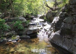 국립공원공단, DGB그융그룹·굿피플 ‘팔공산 생태 보전’ 1억원 기부