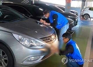 서울시, 30일 자동차세 체납차량 일제 단속…"번호판 영치·견인"
