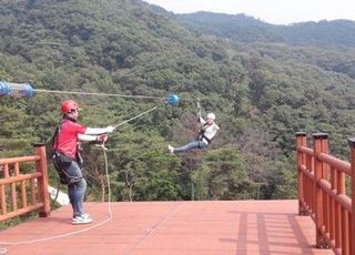 용인 자연휴양림에 산림레포츠 '짚라인' 재개장