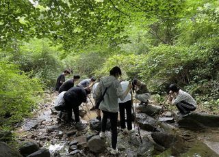 용인특례시, 산림교육센터 숲 체험 프로그램 새롭게 개편