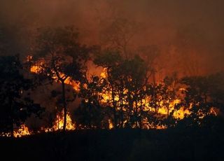 日서 건조 기후 속 대형 산불 발생…도쿄돔 29개 규모 소실