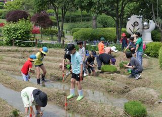 용인 농촌테마파크서 모내기 해보자…오는 13일까지 20팀 모집