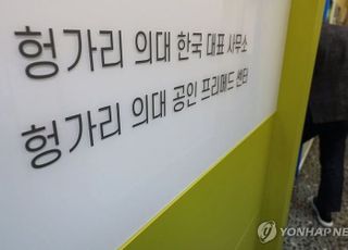 외국 의사 수입? 선결조건 까다로워…일본·대만·스페인·체코·헝가리·폴란드·필리핀 가능