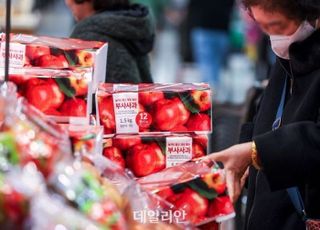 ‘금 사과’ 탄생시킨 날씨, 수박·참외·배도 예외 없다 [위기의 기후②]
