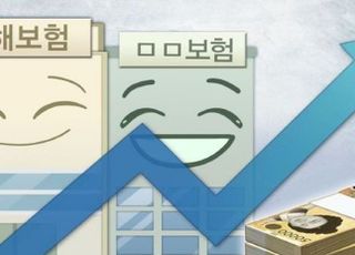 손보사 年 400억 '통 큰 기부'…상생금융 요구 '발맞춤'
