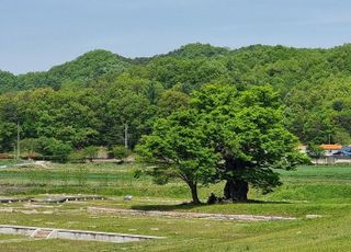 역사와 문학에 빠지다 [조남대의 은퇴일기(52)]