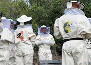 "사막에 나무 심고, 꿀벌 번식 돕고"…LG전자, 세계 기후 위기 대응 나서