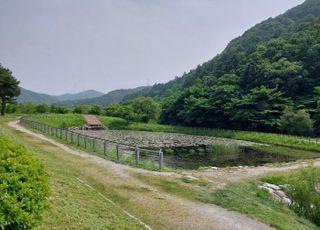 용인특례시, 반딧불이 서식처 복원 앞서 식생 환경 조사