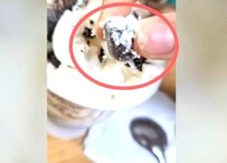 "하마터면 치아 부러질 뻔"…대기업 아이스크림서 2cm '이물질' 발견