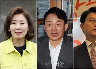 "원희룡, 날 돕겠다더니"…나경원·윤상현, '元 급출마'에 보인 반응은