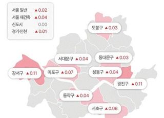 [주간부동산시황] 부동산R114, 서울 재건축 집값 0.04%↑…2년 만에 최대폭