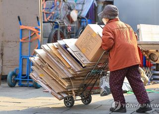 서울 폐지 줍는 노인 3000명…절반은 80대, 월 소득 90만원도 안 돼