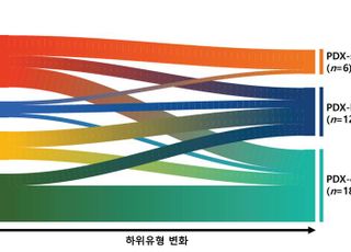 아주대-서울대 공동 연구팀, 췌장암 환자·모델 조직의 불일치 현상 규명