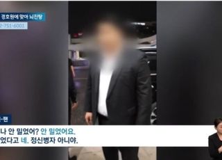 아이돌 경호원, 10대 팬 머리 폭행 '뇌진탕'