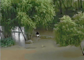 폭우 속 한강 강태공…누리꾼 "민폐"