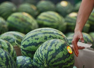 7월 물가상승률 2.6%↑, 넉달째 2%대…석유·과일류 불안 지속(종합)