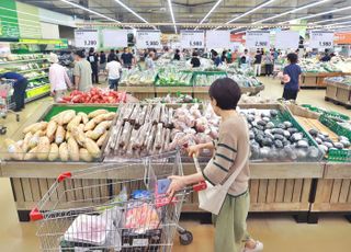 7월 물가상승률 2.6%↑, 넉달째 2%대…정부 “하반기 2% 초중반 안정 전망”(종합2보)