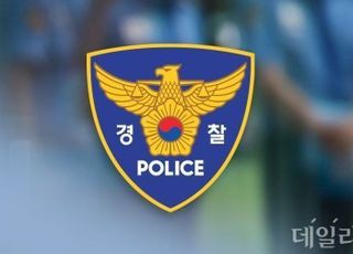 "검도 연습했다"…평택 주택가서 일본도 휘두른 30대 체포