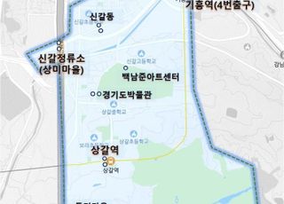 '용인시 관광형 수요 응답형 교통수단' 브랜드명 선호도 조사