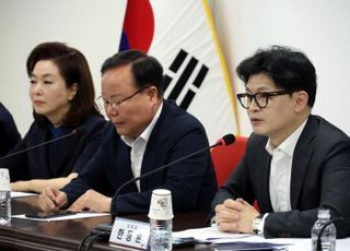 김재원 "한동훈, '전국민 25만원 살포법' 필리버스터에 이견"