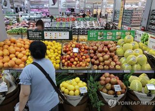 서울시민, 10년 전보다 과일 덜 먹고 고기 섭취 늘어…만성질환도 증가세