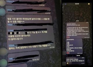 "딥페이크 성범죄 심각한데"…텔레그램 접속 차단 조치 올해 34건 뿐