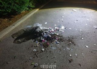 北, 대남 쓰레기 풍선 또 부양…닷새 연속 살포