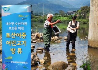 경기도, 강·하천에 붕어·다슬기 59만 마리 방류