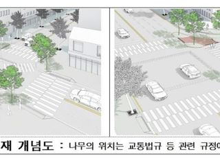 서울시, 보행자 교통사고 취약지역에 가로수 2000그루 심는다