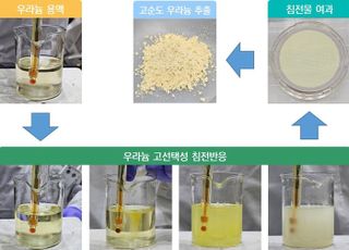 고순도 우라늄 추출 기술 개발…“방사성폐기물 감소로 환경·경제적 가치 기대”