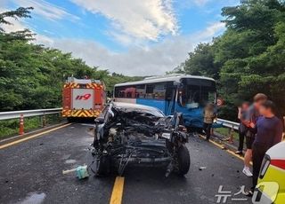 술 깰 때까지 한라산에 숨어있던 뺑소니범, 징역 5년