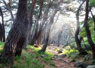 가족·연인 손잡고 단풍 속으로…국립공원, 걷기 좋은 길 ‘7선’