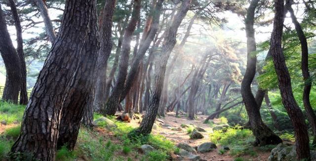 가족·연인 손잡고 단풍 속으로…국립공원, 걷기 좋은 길 ‘7선’