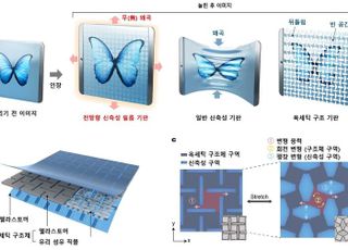 ‘25% 늘려도 이미지 왜곡 없어’ KIAST, 스트레처블 디스플레이 개발