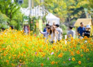 고양시, 고양가을꽃축제와 고양호수예술축제 등 풍성한 가을 축제 열려