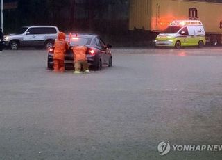 전남 장흥서 80대 男 급류 휩쓸려 실종…수색작업 중