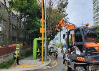 거리에 은행 열매 냄새 진동한다…서울시 채취 기동반 운영