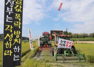 쌀값 하락 정부 책임론 언급 전망…반려동물세도 쟁점 불가피[미리보는 국감]