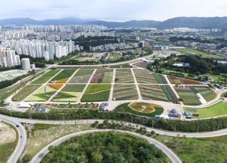 양주시, ‘양주 천만송이 천일홍 축제’개막