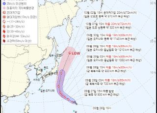 17호 태풍 '제비' 발생…"국내 영향 가능성 유동적 "