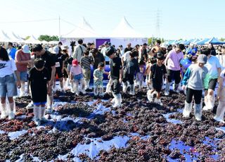 안산시, ‘안산 대부포도 축제’ 성료